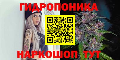 гашишное масло Камышлов