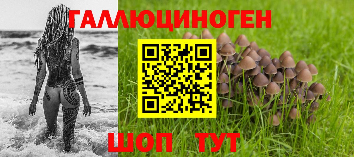 Кызыл  Псилоцибиновые грибы Psilocybine cubensis  Вход с VPN 